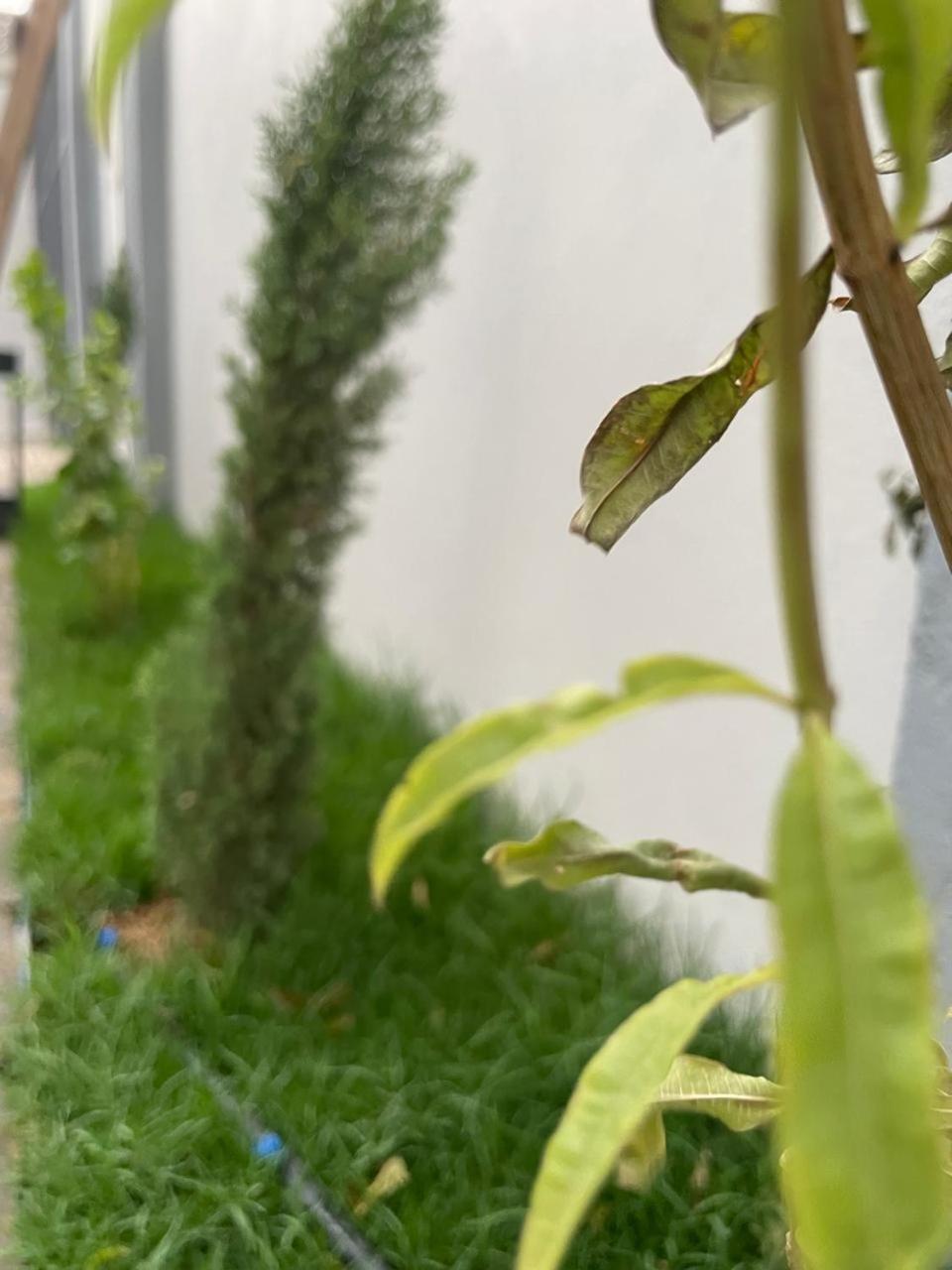 Garden Land Aparthotel Хамис Мушайт Екстериор снимка